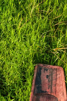 Wooden boat on green grass on the floating gardens at Inle Lake Myanmar.