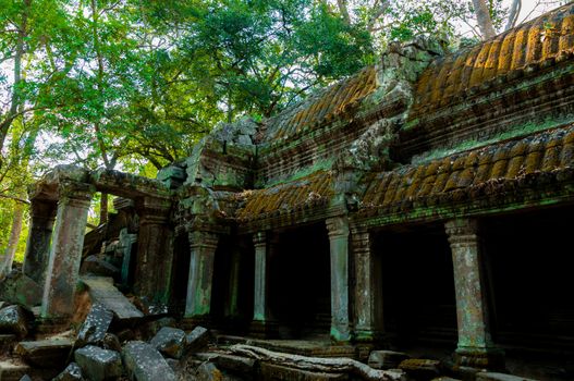 Stone temple Ta Prohm Angkor Wat Cambodia