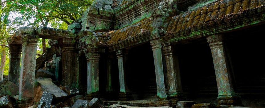 Stone temple Ta Prohm Angkor Wat Cambodia