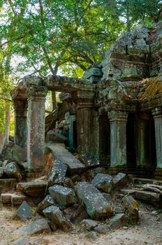 Stone temple Ta Prohm Angkor Wat Cambodia