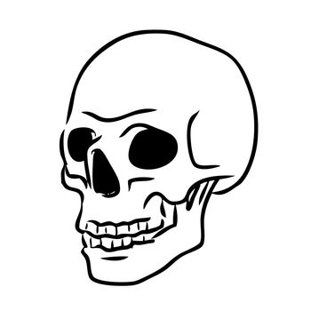 freehand sketch illustraion of skull  icon, doodle hand drawn