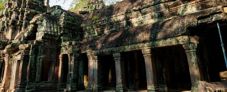 Stone temple Ta Prohm Angkor Wat Cambodia