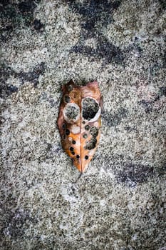 rotten leaf fall on the  stone texture background, look like a mask