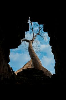 View through hole to tree temples of Angkor Wat