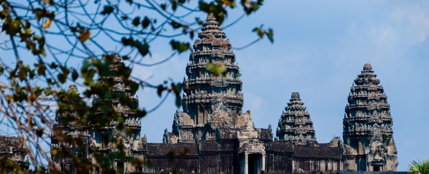 Leaves in front of Angkor Wat Cambodia