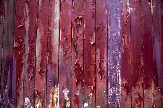 Grunge colors of peeling wood