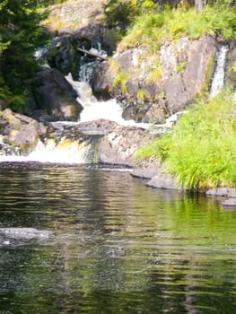 Beautiful small waterfall in a green deciduous forest