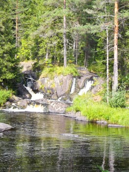 Beautiful small waterfall in a green deciduous forest