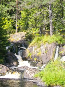 Beautiful small waterfall in a green deciduous forest