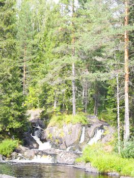 Beautiful small waterfall in a green deciduous forest