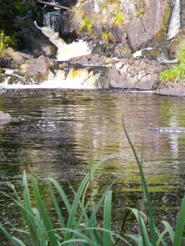 Beautiful small waterfall in a green deciduous forest