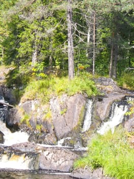 Beautiful small waterfall in a green deciduous forest