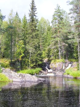 Beautiful small waterfall in a green deciduous forest