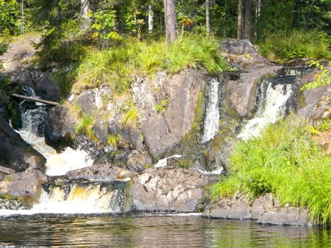 Beautiful small waterfall in a green deciduous forest