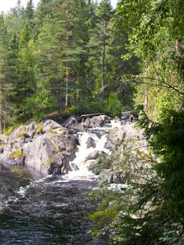 Beautiful small waterfall in a green deciduous forest