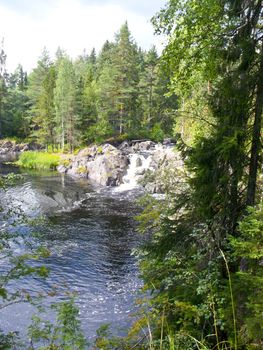 Beautiful small waterfall in a green deciduous forest