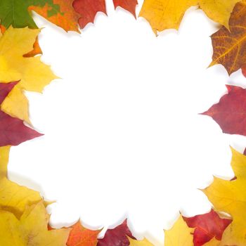 Frame of colorful autumn leaves isolated on white background