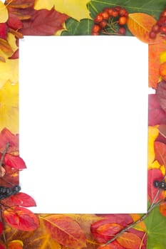 Frame of colorful autumn leaves isolated on white background