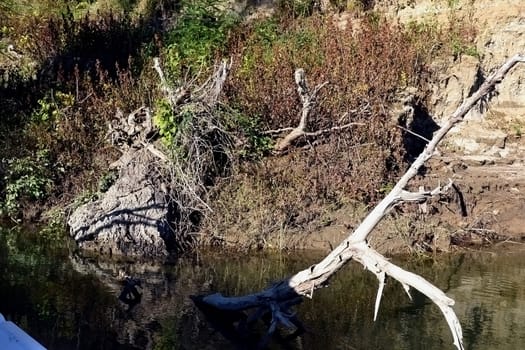 Trees shed their colorful leaves in the river.
The water is clean.
The sky is cloudless blue.
Vegetation on the river bank and keep dry colored shades