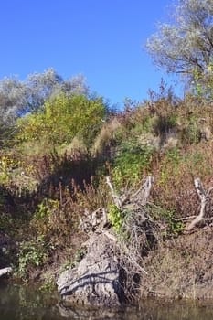 Trees shed their colorful leaves in the river.
The water is clean.
The sky is cloudless blue.
Vegetation on the river bank and keep dry colored shades