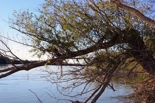 Trees shed their colorful leaves in the river.
The water is clean.
The sky is cloudless blue.
Vegetation on the river bank and keep dry colored shades