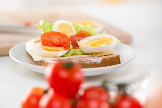 Close up of fresh sandwich with cherry tomato and eggs.