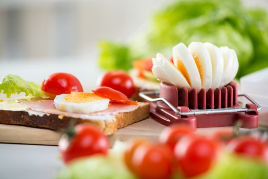 Close up of fresh sandwich and Sliced boiled egg.