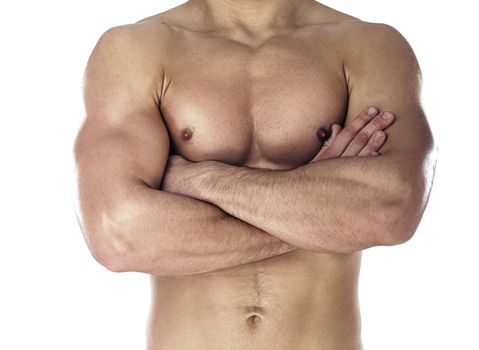 Muscular body of sportsman. Horizontal close-up photo