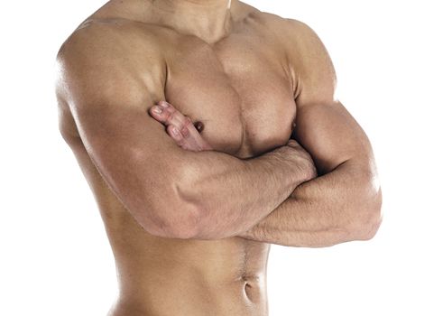 Muscular body of sportsman. Horizontal close-up photo