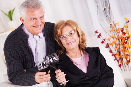 Senior couple in home interior enjoying in glass of wine.