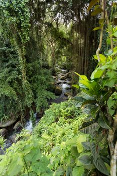 Pakerisan River. Tropical river landscape flows past the sacred temple Gunung Kawi. The Balinese - river in Pura Gunung Kawi.