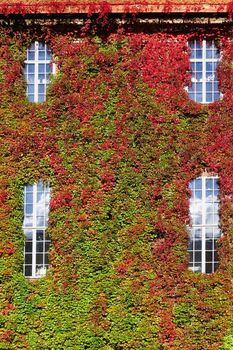 green wall vertical at Cityhall in Stockholm, Sweden