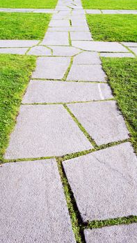 Random Stone pathway in the garden