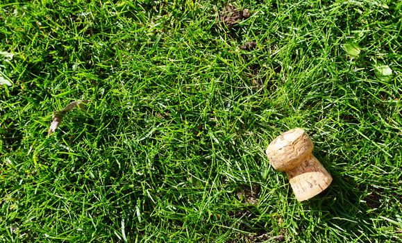 cork object on the grass field