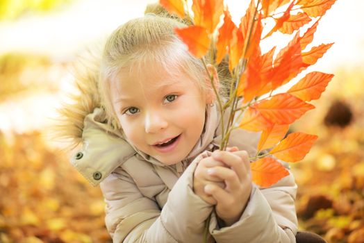 Portrait of cute little girl on beautiful autumn day. 