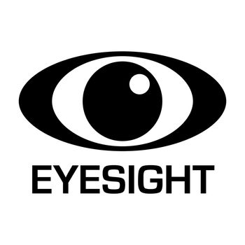 Black and white eyesight logo with simple illustrated design
