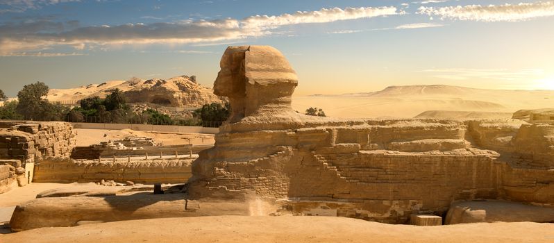 Sphinx in sand desert at the sunset