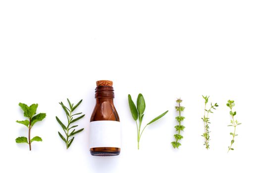 Bottle of essential oil with herb holy basil leaf, rosemary,oregano, sage,basil and mint on white background.