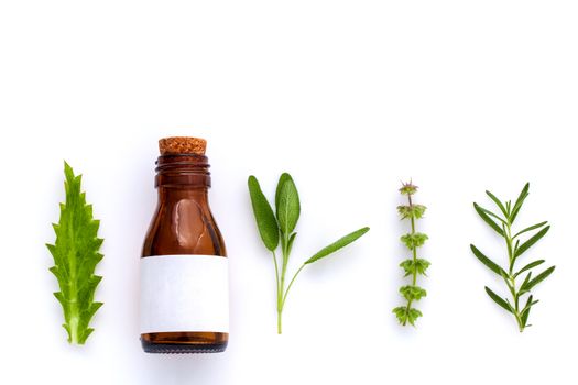 Bottle of essential oil with herb holy basil leaf, rosemary,oregano, sage,basil and mint on white background.