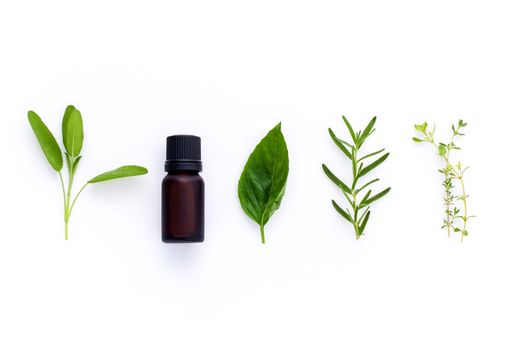 Bottle of essential oil with herb holy basil leaf, rosemary,oregano, sage,basil and mint on white background.