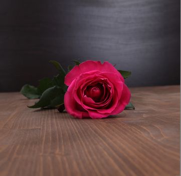 rose on wood background