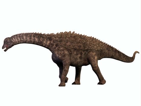 Ampelosaurus was a herbivorous sauropod dinosaur that lived in Europe during the Cretaceous Era.