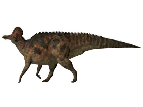 Corythosaurus is a herbivorous duck-billed dinosaur that lived in North America during the Cretaceous Period.