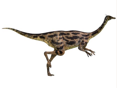 Gallimimus was an omnivorous dinosaur that lived in Mongolia during the Cretaceous Period.