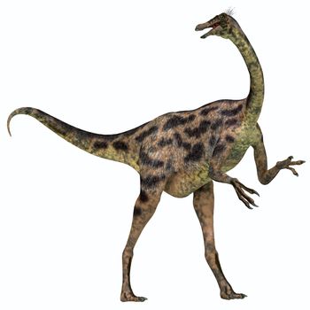 Gallimimus was an omnivorous dinosaur that lived in Mongolia during the Cretaceous Period.