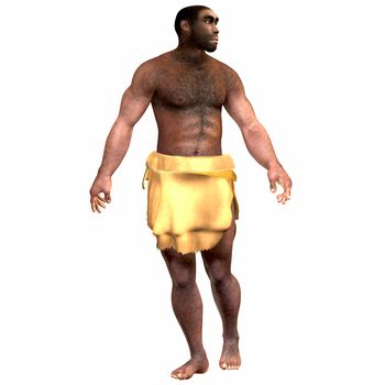 Homo Erectus is an extinct species of human that lived during the Pleistocene Period in Eurasia and Africa.