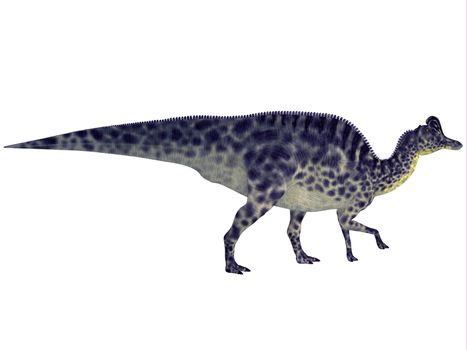 Velafrons was a large herbivorous hadrosaur dinosaur that lived in Mexico during the Cretaceous Period.