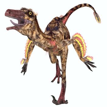 Troodon was a carnivorous small dinosaur that lived in North America during the Cretaceous Period.