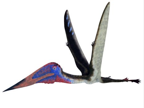 Zhejiangopterus was a carnivorous pterosaur dinosaur that lived in China during the Cretaceous Period.
