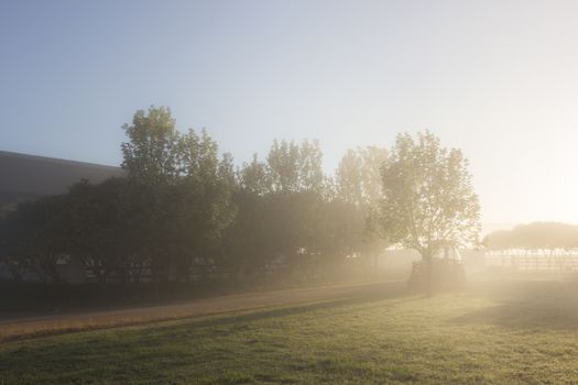 Early morning mist in a rulral setting, with clear skies and trees in the background.